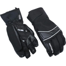 BLIZZARD BLIZZARD Profi ski gloves, black/silver