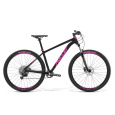 AMULET AMULET 29 Night cat 3.0 SR, black matt/pink, 2024