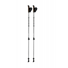 BLIZZARD Alu Performance nordic walking poles, silver/black