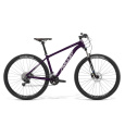 AMULET AMULET 29 Night cat 2.0 SR, royal purple/white, 2024