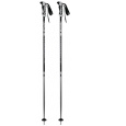 BLIZZARD BLIZZARD Allmountain ski poles, silver