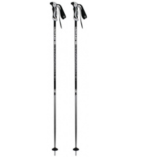 BLIZZARD BLIZZARD Allmountain ski poles, silver